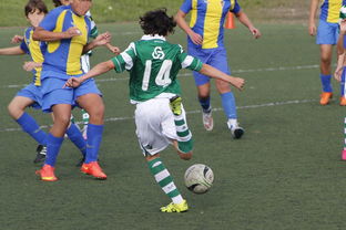 开云体育app下载-体育新闻中心发布体育内容原创度智能评估工具,体育新闻可视化 第2张